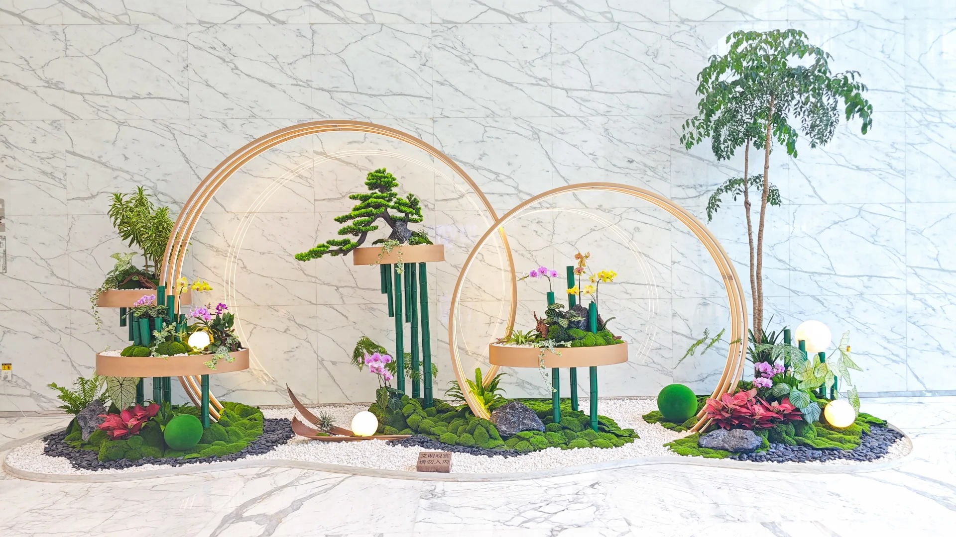 体验海曙盆景租赁，贴心服务，邂逅诗意绿色时光！